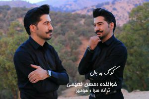 حسن نعیمی کوگ بی بال